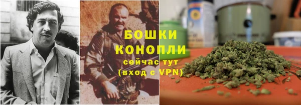 таблы Богданович