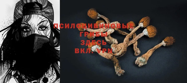 таблы Богданович