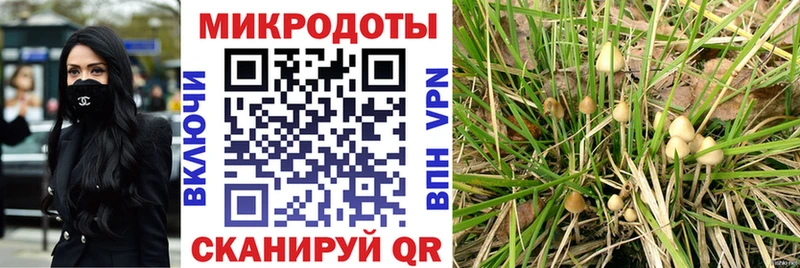 что такое наркотик Полтавская Галлюциногенные грибы ЛСД